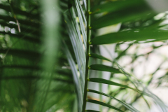 yoga-bilder-natur-hanna-witte-004
