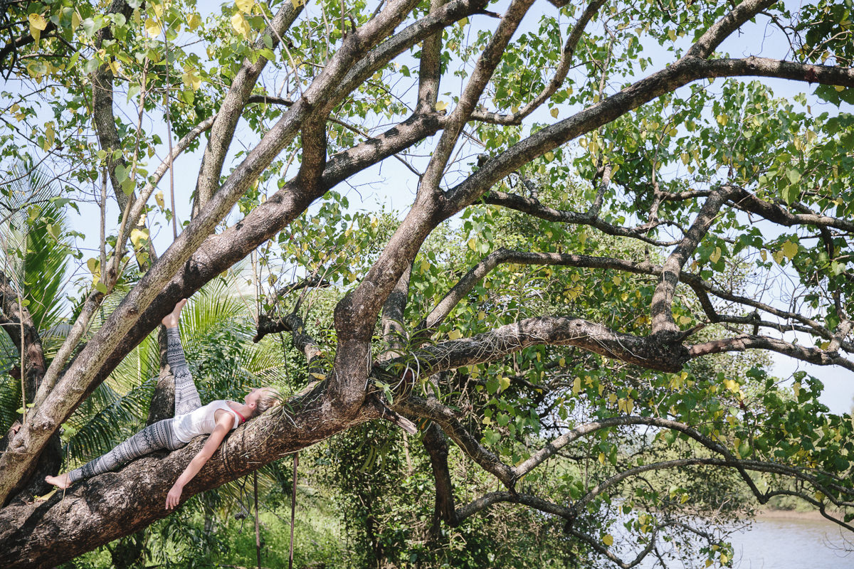 photo of a yoga pose in a tree