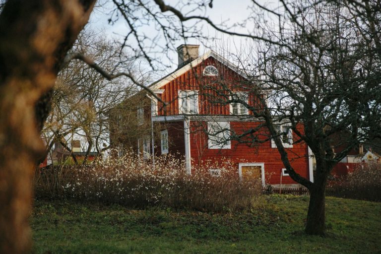 Skansen-Stockholm-Fotos-002