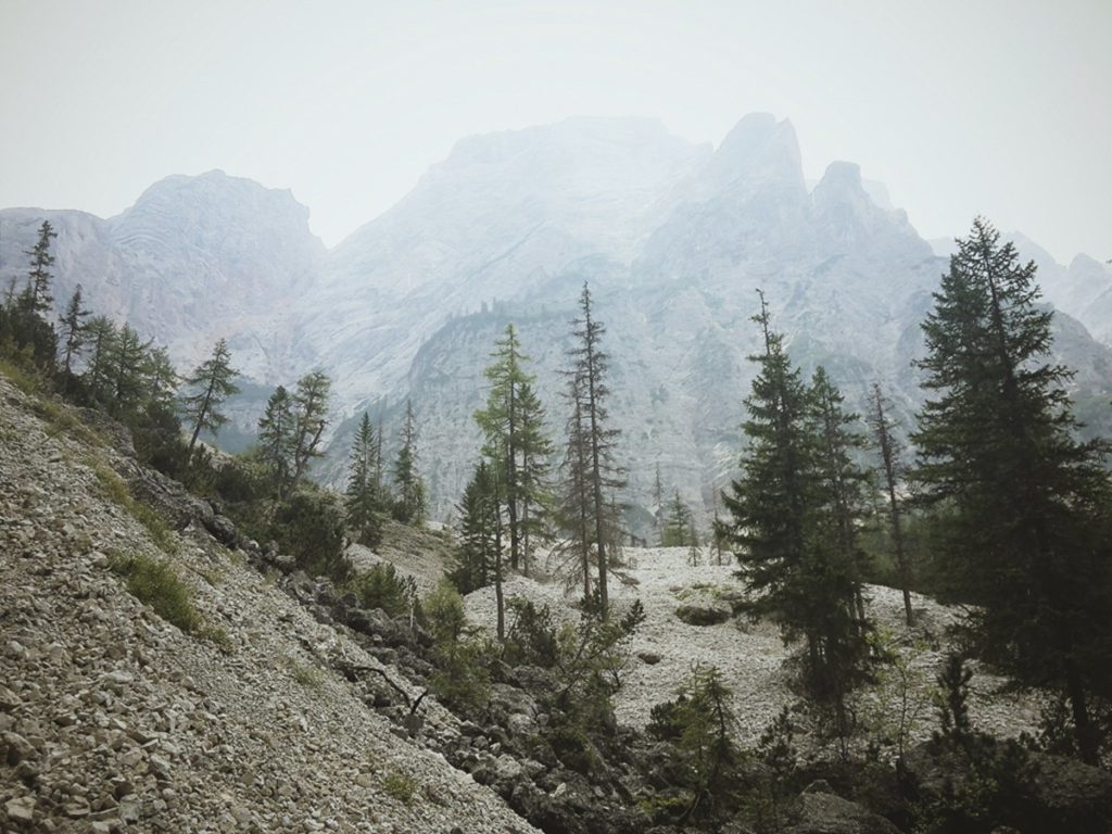 Foto einer Berglandschaft mit Bäumen | Foto: Hanna Witte