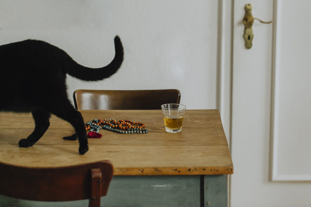 eine schwarze Katze läuft über einen Holztisch