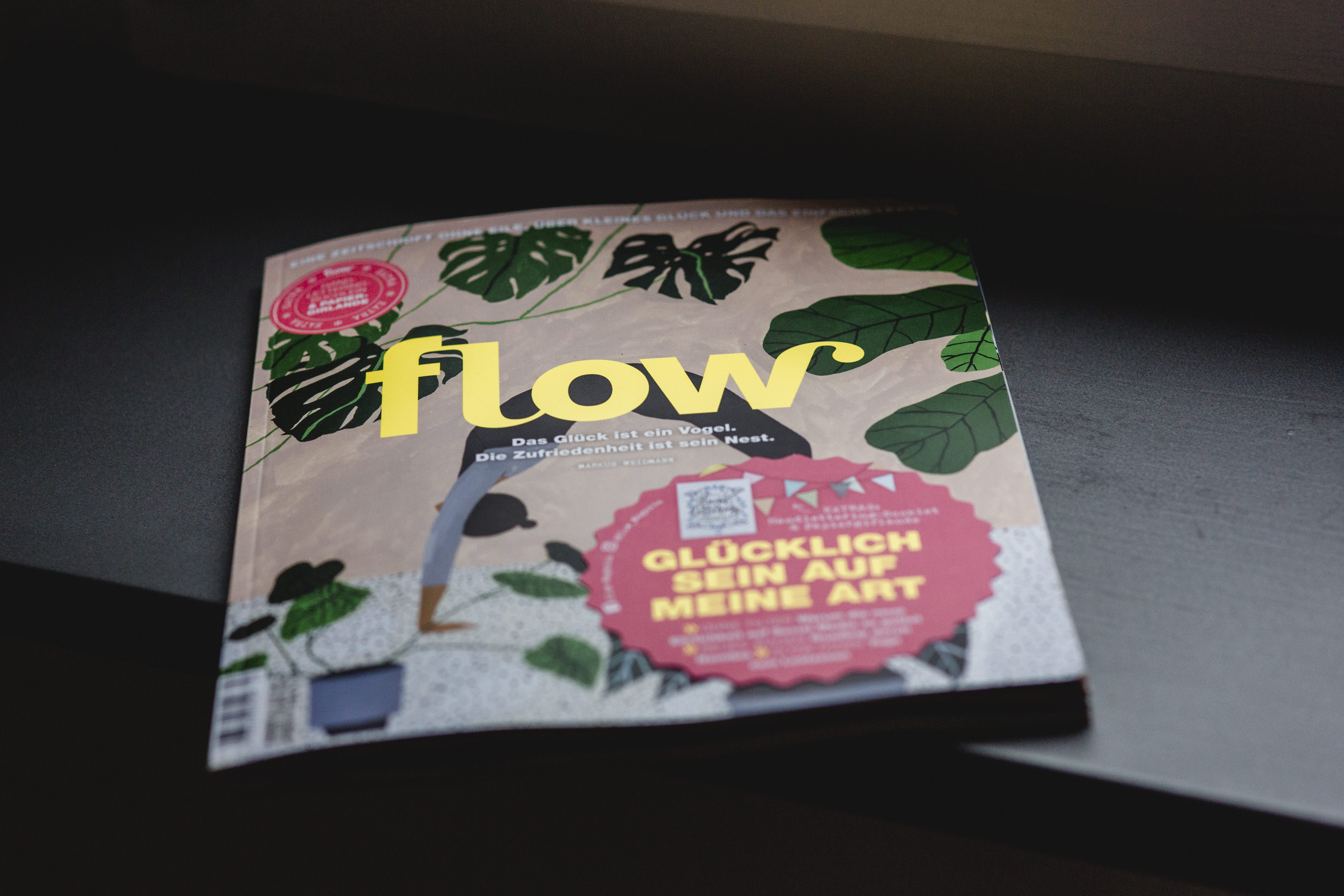 Flow Magazin Heft 40