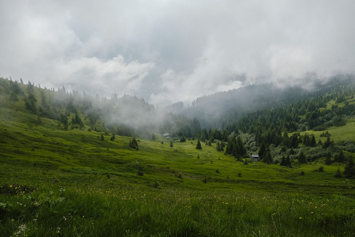 grüne Wiese in den Alpen mit Wolken und Nebel