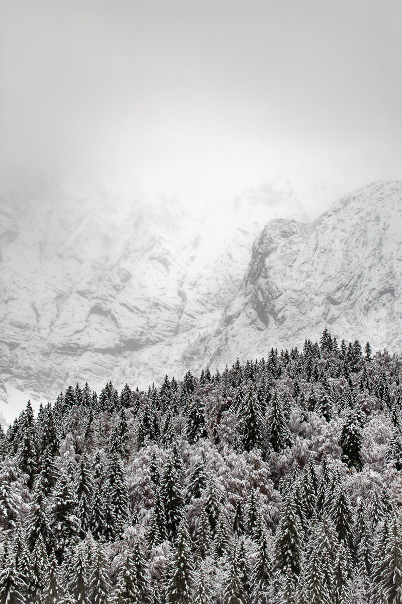 verschneite Bäume in einem Gebirge in den Bayerischen Alpen | Foto: Hanna Witte