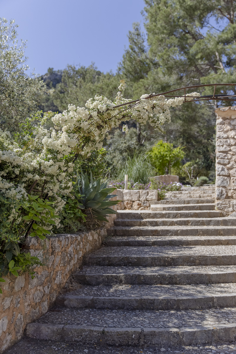 Steintreppe umgeben von Blumen und Pflanzen im Außenbereich einer Finca auf Mallorca | Foto: Hanna Witte