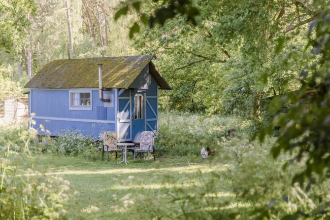 zwei Hühner vor einem blauen Ulliwood Zirkuswagen | Foto: Hanna Witte