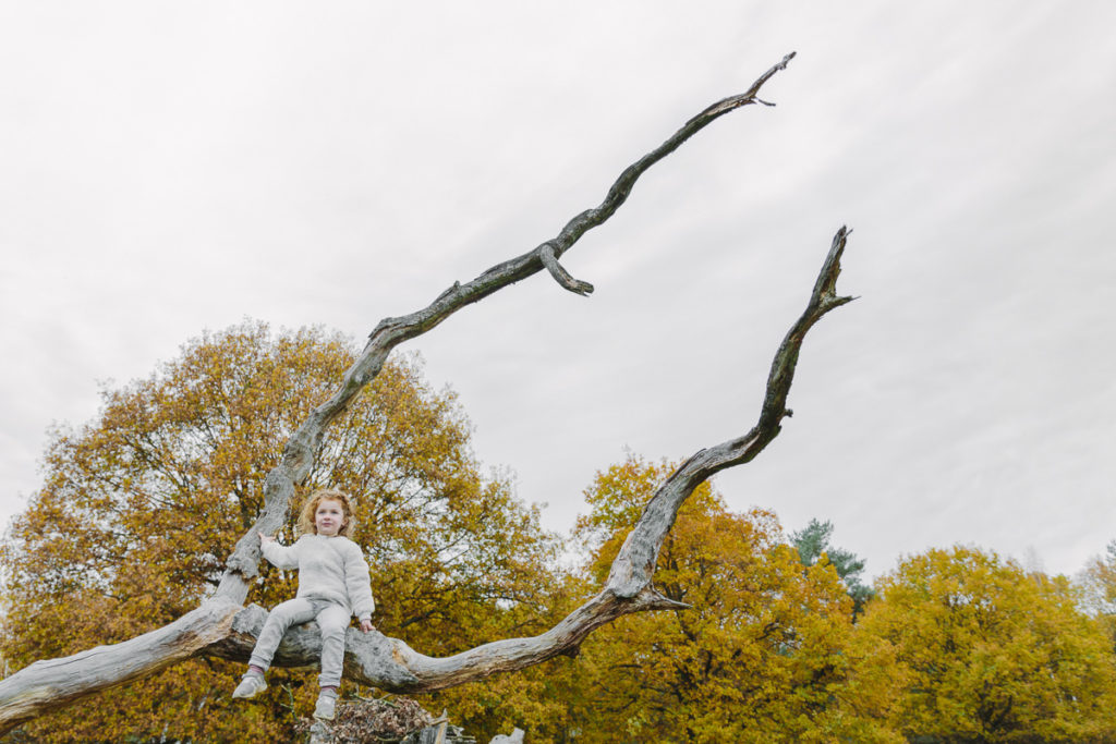 ein Kind sitzt auf einem Ast | Foto: Hanna Witte