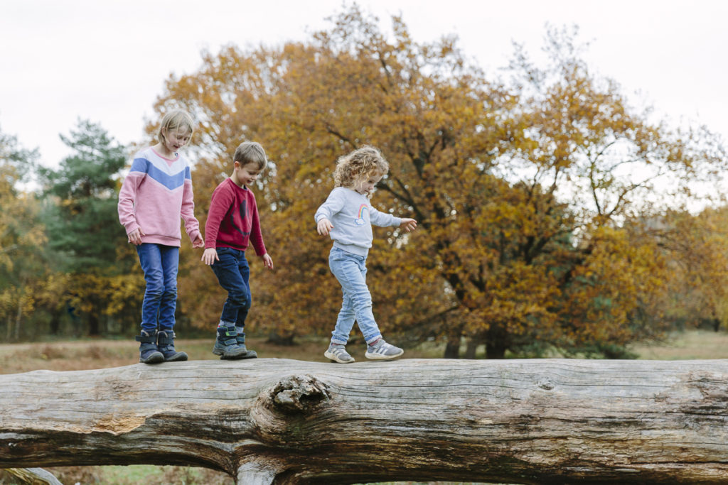 Kinder balancieren über einen Baumstamm im Park | Foto: Hanna Witte