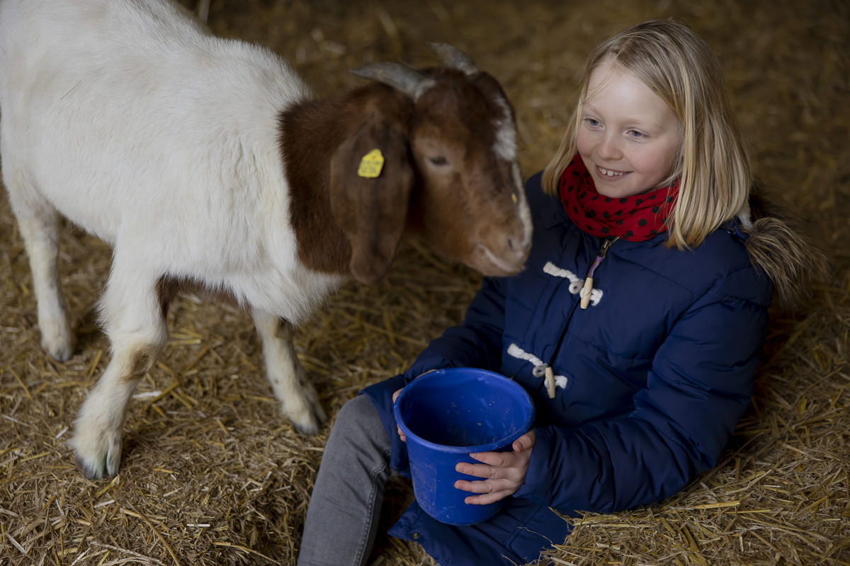 Schlechtwetter-Urlaub mit Kindern: Ein Mädchen füttert eine Ziege | Foto: Hanna Witte