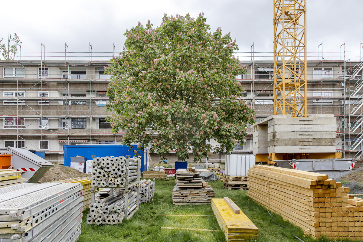 Geschäftsbericht Foto eines Bauprojekts der Aachener Siedlungs- und Wohnungsgesellschaft in Köln | Foto: Hanna Witte