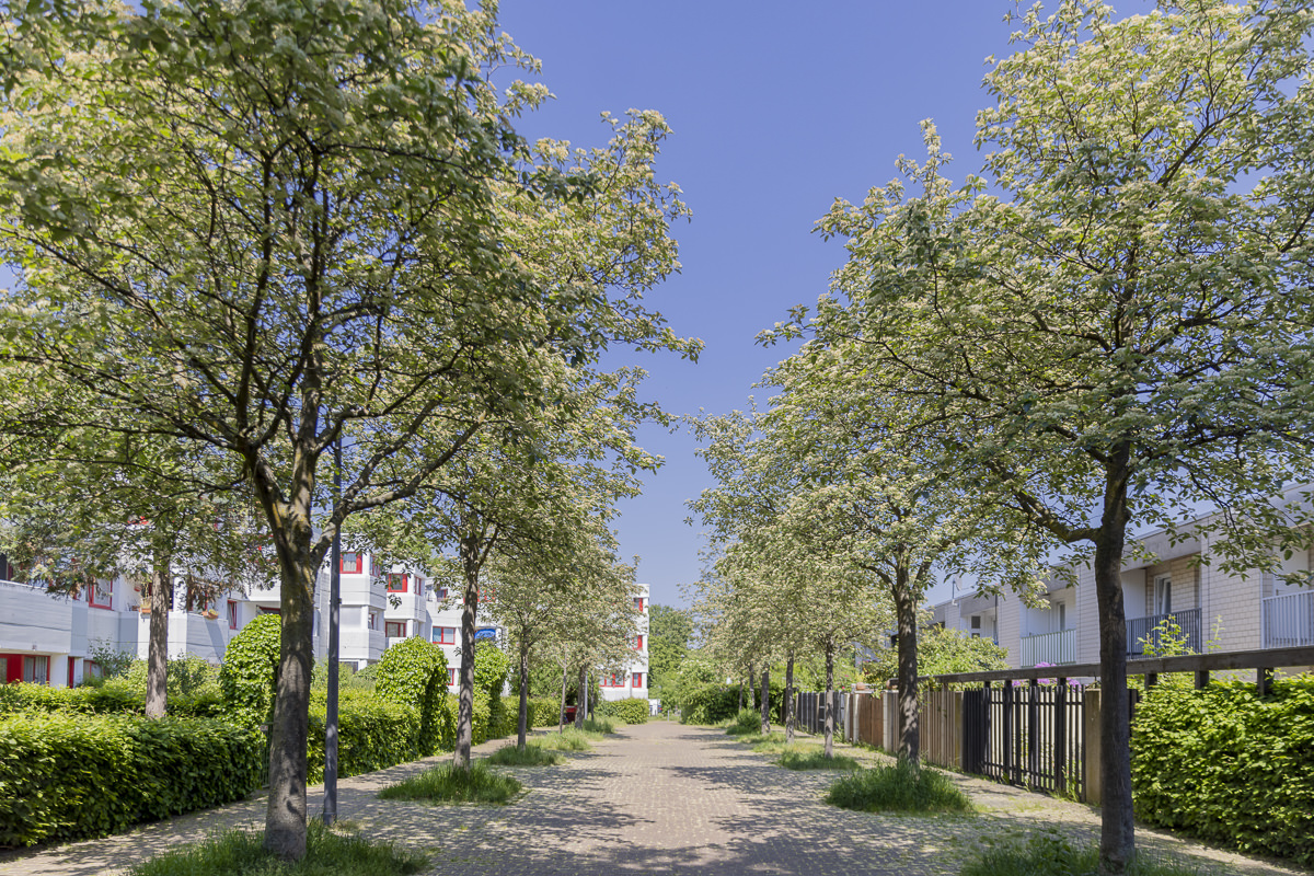 Geschäftsbericht Foto einer Straße in Köln Seeberg | Foto: Hanna Witte