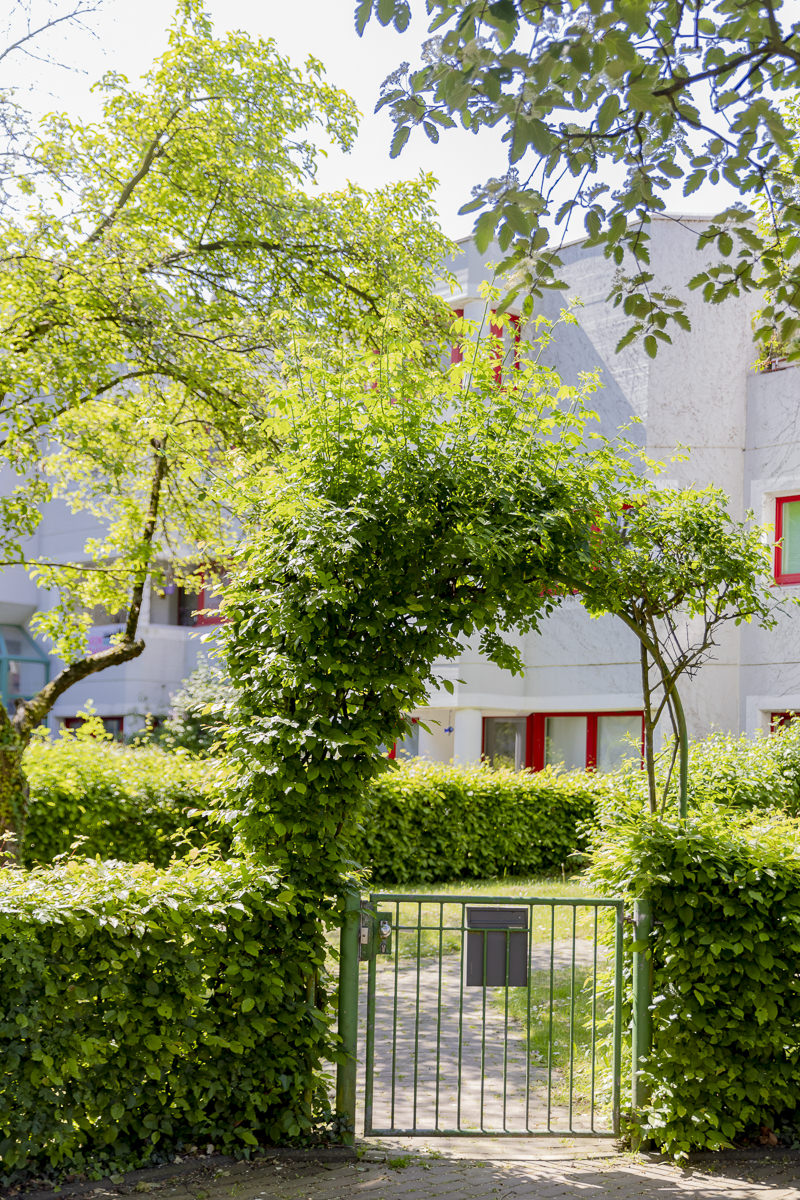 Immobilienprojekt Foto für den Geschäftsbericht der Aachener Siedlungs- und Wohnungsgesellschaft in Köln | Foto: Hanna Witte
