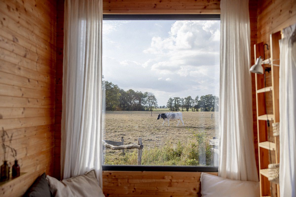 Blick auf die Kuhwiese durch das Panorama Fenster des Kuckuck Tiny House | Foto: Hanna Witte