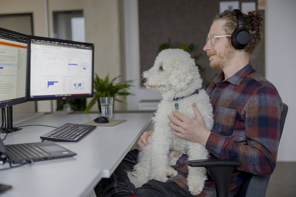 ein taod Mitarbeiter hat seinen Hund zur Arbeit mit ins Büro gebracht | Foto: Hanna Witte