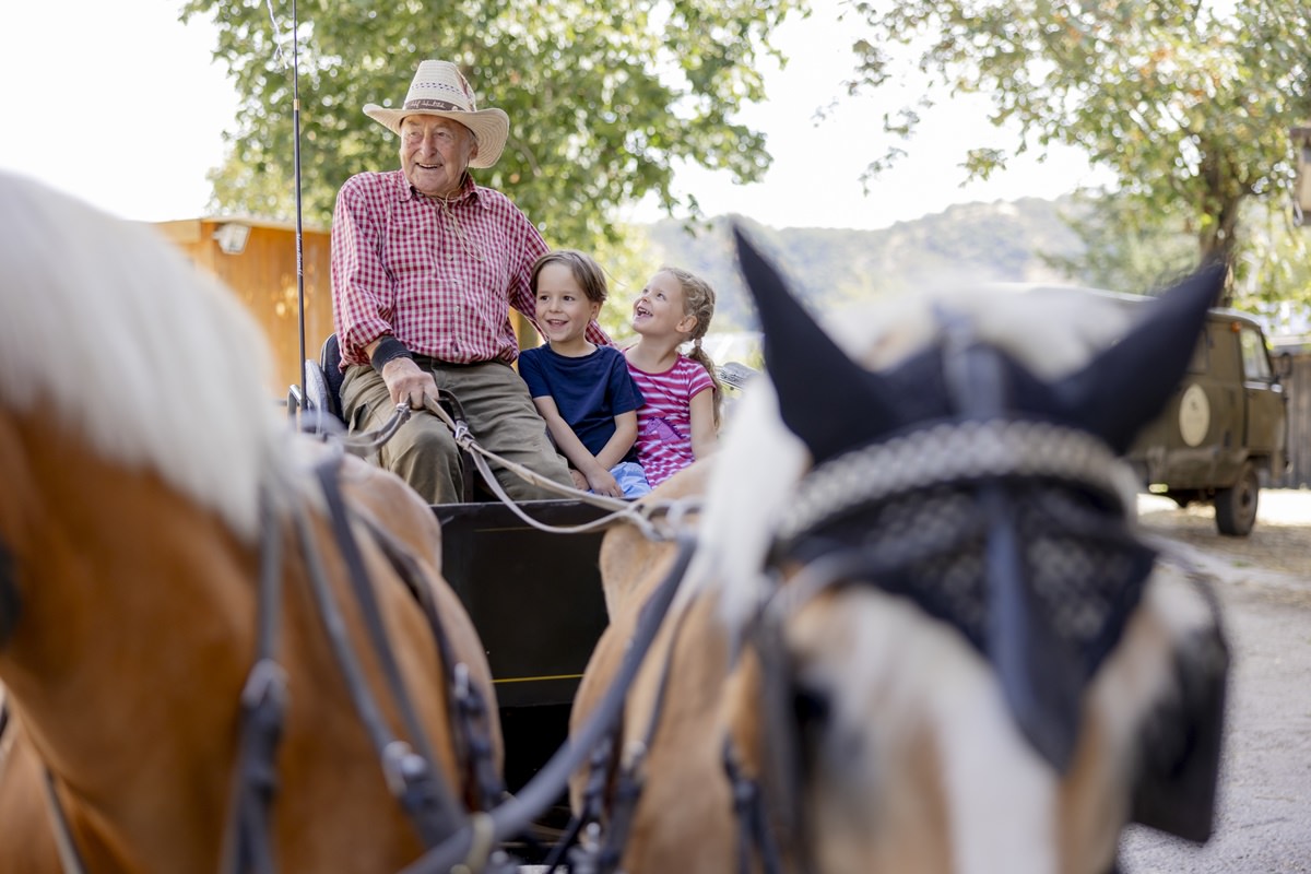 zwei Kinder bei der Pferde-Kutschfahrt mit Opa Erich auf dem Ferienhof Hardthöhe | Foto: Hanna Witte
