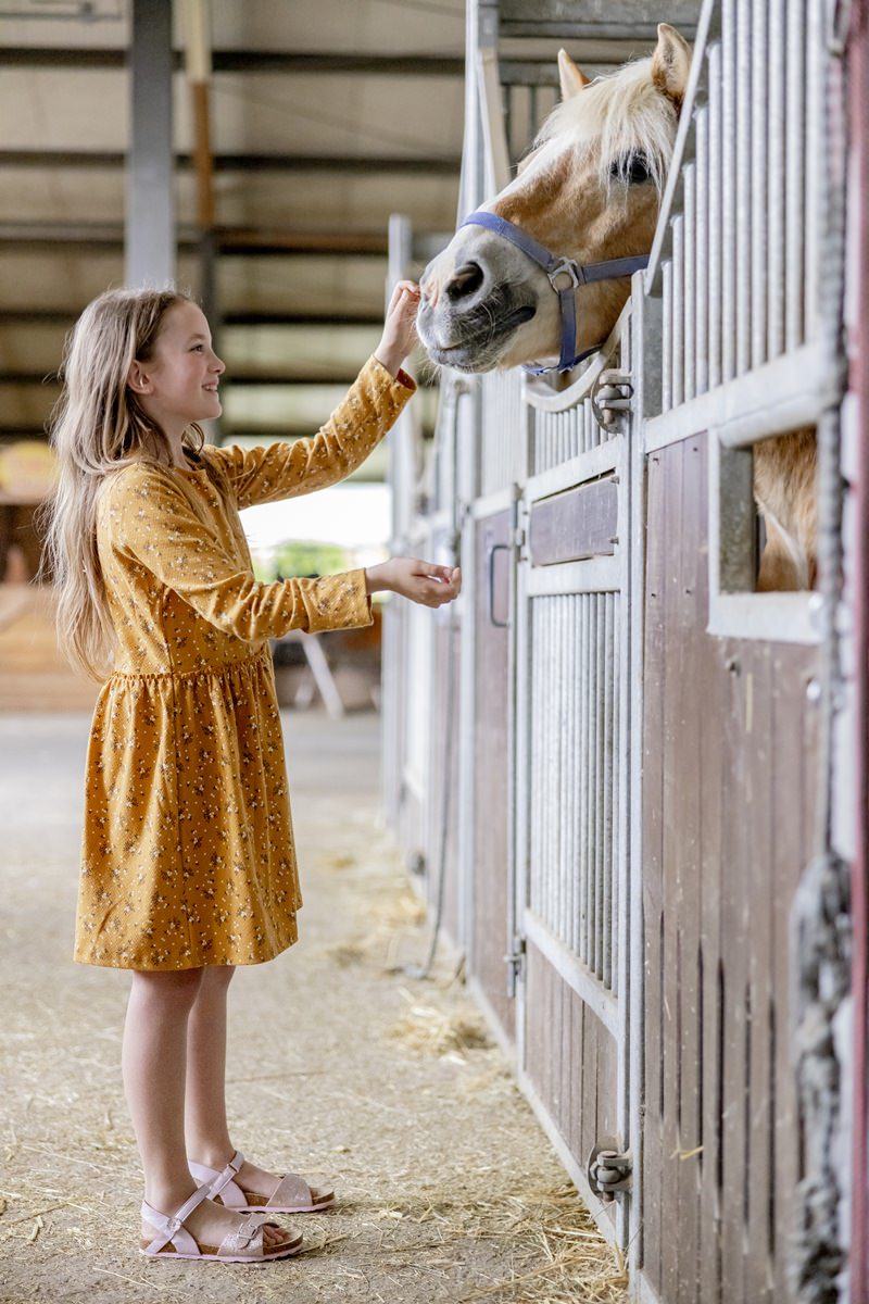 ein Mädchen streichelt ein Pferd im Stall von Ferienhof Hardthöhe | Foto: Hanna Witte