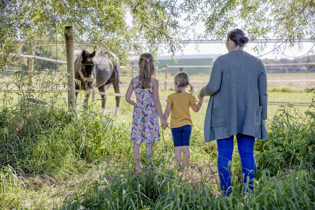 eine Landwirtin besucht mit ihren beiden Töchtern ein Pferd auf der Wiese | Foto: Hanna Witte