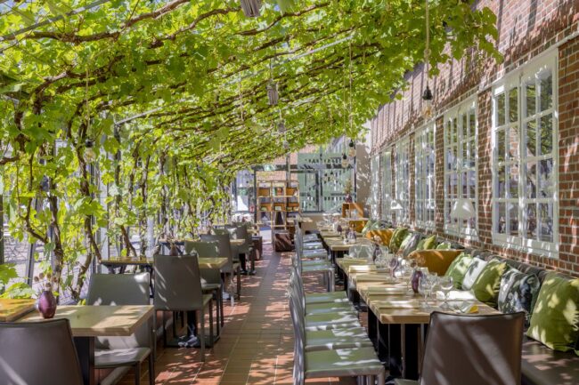 Terrasse mit einem Dach aus Weinreben im Romantik Hotel Reichshof | Foto: Hanna Witte