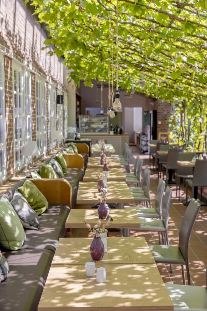 Romantik-Hotel-Foto von der outdoor Terrasse mit Weinreben-Dach | Foto: Hanna Witte