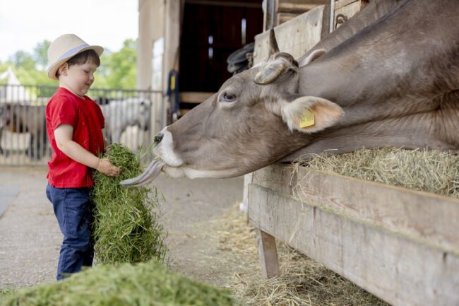 ferienbauernhof-fotografie-004